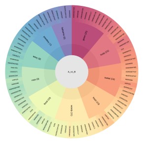 Flavor Wheel